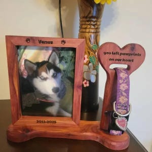 Pode incluir: Um memorial de madeira para animais de estimação com uma moldura de fotos, uma placa em forma de coração e uma coleira de cachorro. A moldura de fotos tem uma imagem de um cão husky e o texto "Venus 2011-2025". A placa em forma de coração tem o texto "Você deixou pegadas de patas em nosso coração".
