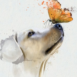 Póster Enmarcado Labrador Retriever amarillo
