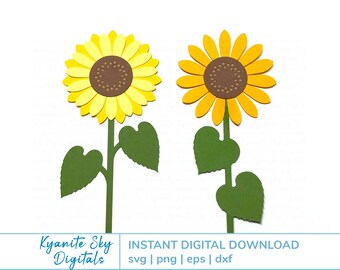 Girasol SVG, flor de verano, floral de otoño, archivos de corte de papel en capas para Cricut, clipart PNG, descarga digital instantánea