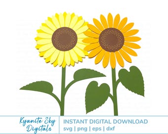 Girasol SVG, flor de verano, floral de otoño, archivos de corte de papel en capas detallados para Cricut, clipart PNG, descarga digital instantánea