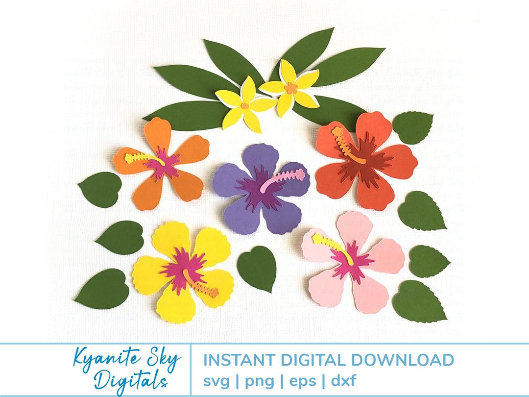 Tropical Hibiscus & Plumeria Flower SVG Bundle, Hawaiian Luau Floral ...