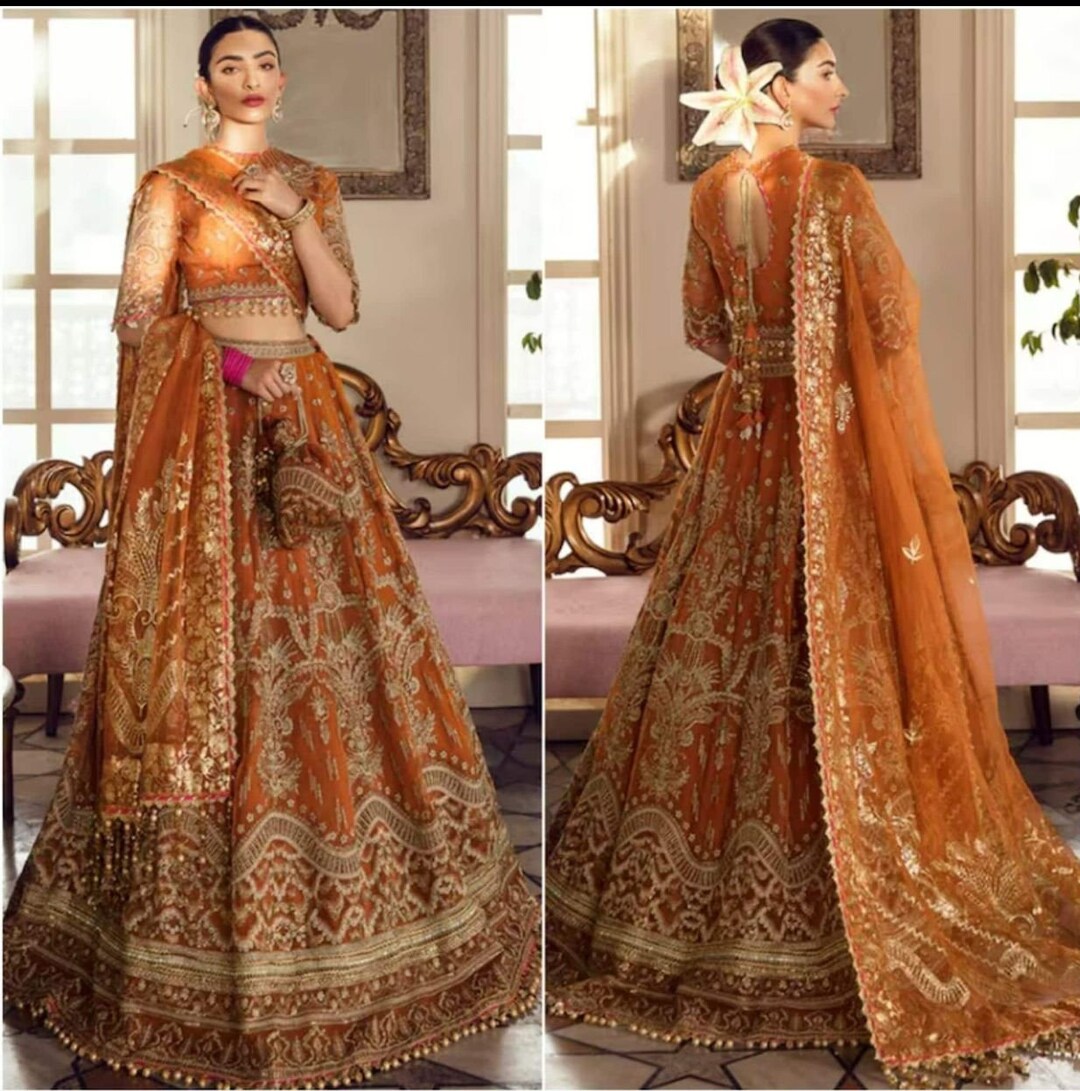 Pakistani Wedding Dresses Embroidery Cloth Indian Dress Etsy