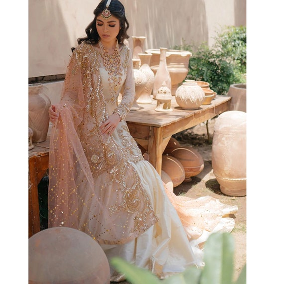 Pakistani Wedding Dresses Indian Dress Organza Embroidered