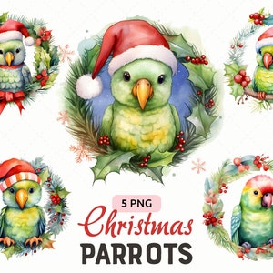 Pacote PNG de clipart de papagaios de Natal, pássaro de papagaios com chapéus de Natal, confecção de cartões, clipart de pássaros de Natal, uso comercial, download instantâneo