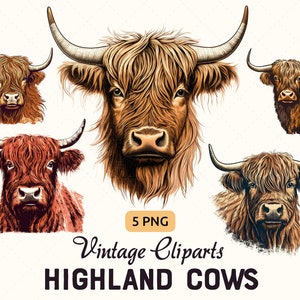 Vintage Highland Cows Clipart Png Bundle, Highland Cattle Engraving Woodblock Print Illustration, Instant Digital Download, Commercial Use