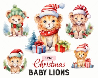 Christmas Cute Baby Lion Watercolor Clipart Png Bundle, Safari Lions with Christmas hats, Xmas Safari, Instant Download, Commercial Use