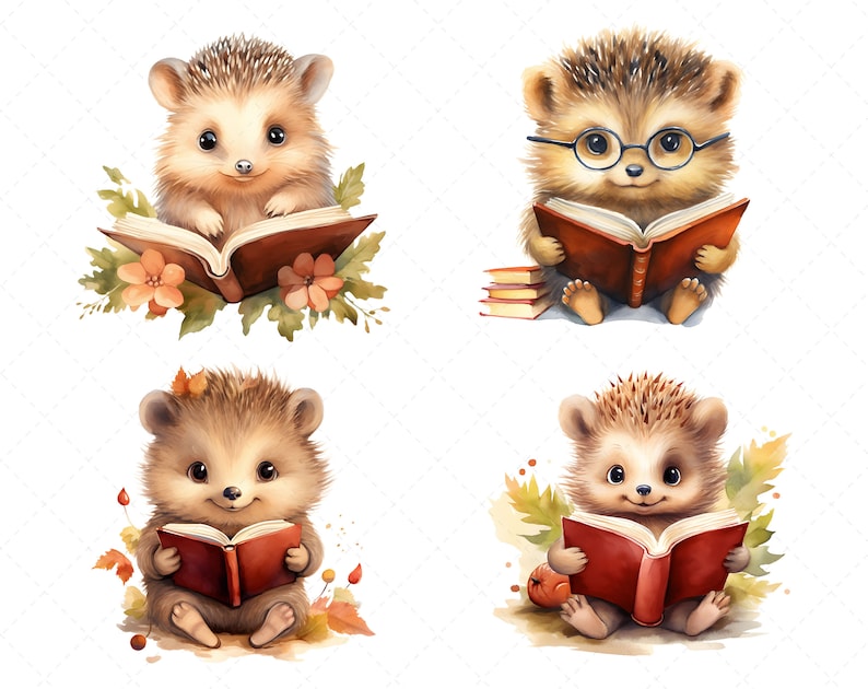 Cute Hedgehog Bookworm Clipart 12 PNG Bundle, Watercolor Baby Hedgehog ...