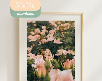 Oregon Botany Wall Art - pink rose field - Digital/Printable Prints - Floral & Nature Photography - Home Decor