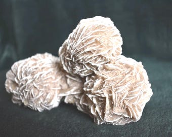 May include: Three desert rose selenite crystal clusters. The crystals have a layered, petal-like appearance with a light tan color and white edges. The crystals are clustered together against a dark green background.