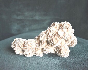 May include: A light-colored desert rose crystal formation. The mineral specimen has a clustered, layered appearance with a rough, textured surface. The crystal is set against a dark teal background.