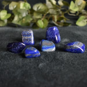 Lapis Lazuli Tumbled Stones