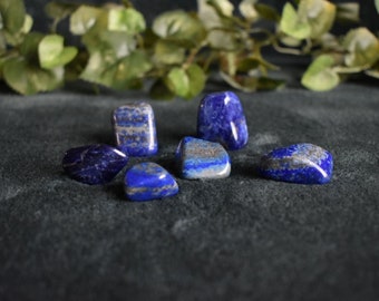 Lapis Lazuli Tumbled Stones
