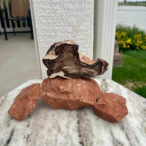Petrified Wood Piece