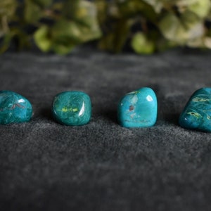 Chrysocolla Tumbled Stones
