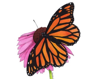 Papillon de peinture à l’aquarelle | Papillon monarque | Original