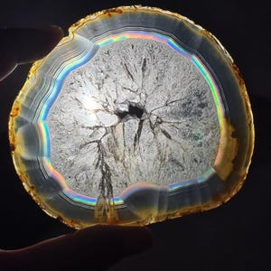 May include: A translucent, circular agate slice with a natural, tree-like pattern in the center. The edges display bands of colour, including rainbow hues. The agate is held against a dark background, highlighting its internal structure.
