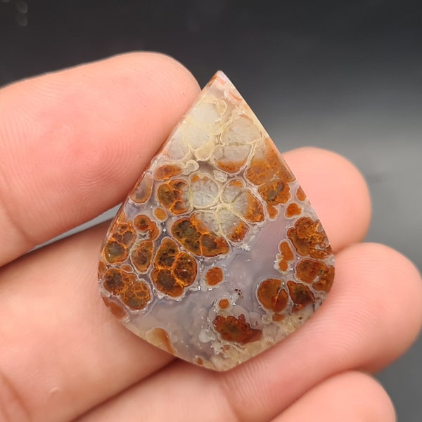 Multicolor Plume Agate Cabochon