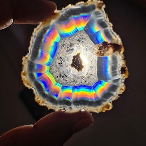 May include: A translucent, geode slice with a rainbow iridescence. The geode's interior features a crystalline structure, and the outer edge has a brown and beige color. The light refracts through the geode, creating a vibrant display of colors.