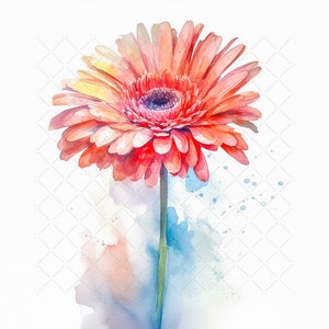 Watercolor Gerbera Flower Bundle Clipart, 10 High Quality JPG, Watercolor Flower Art Digital Print, Printable Painting Flower Wall Art Decor