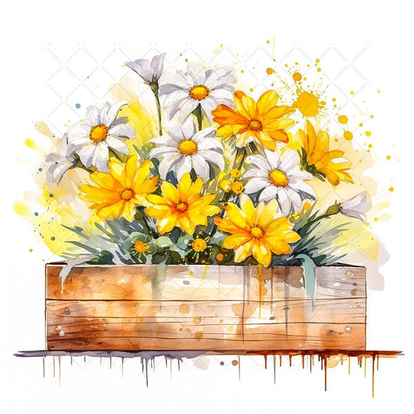 White Yellow Daisies Flowers in Planter Box Bundle Clipart, 10 High Quality JPGs, Watercolor Bouquet of Flowers Printable Wall Art Decor