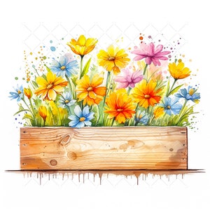 Gänseblümchen in Holzpflanzkasten Bundle Clipart, 10 hochwertige JPGs, Aquarell Blumen Blumenstrauß druckbare Wandkunst-Dekor