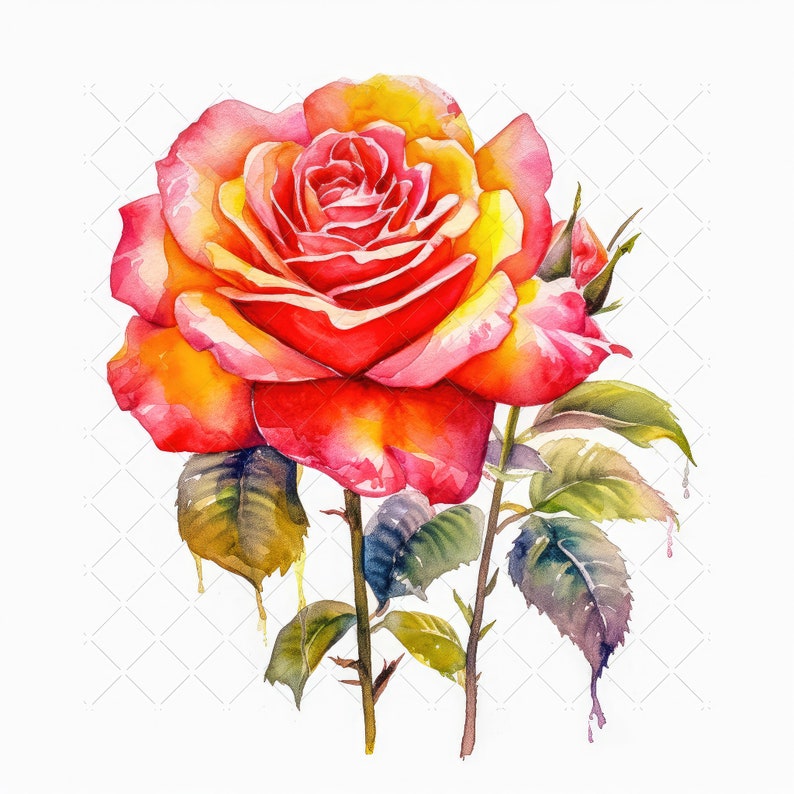 Watercolor Rose Flower Bundle Clipart, 10 High Quality Jpgs, Watercolor ...