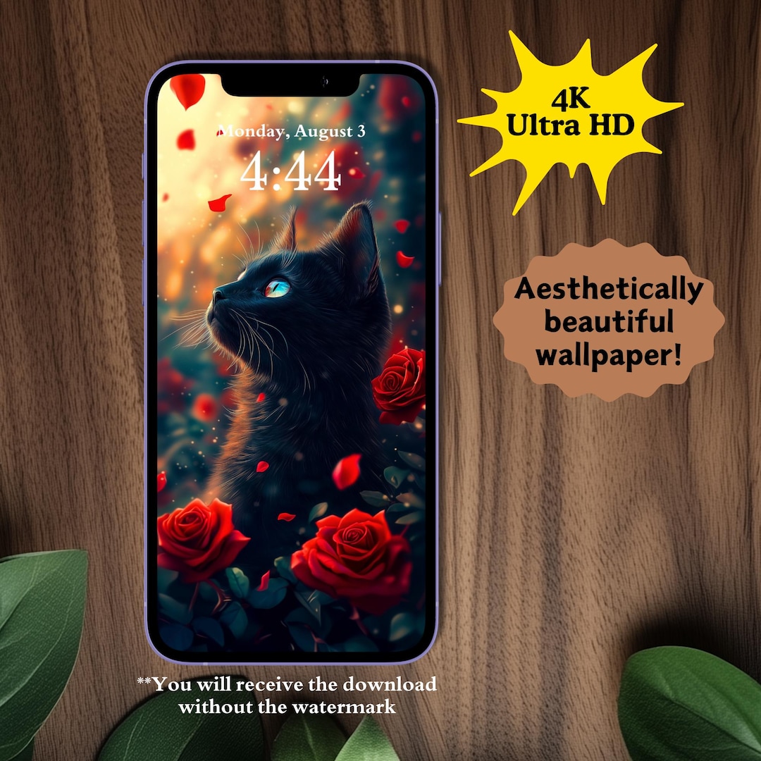 Black Cat and Red Roses Phone Wallpaper, High Quality Graphic ...