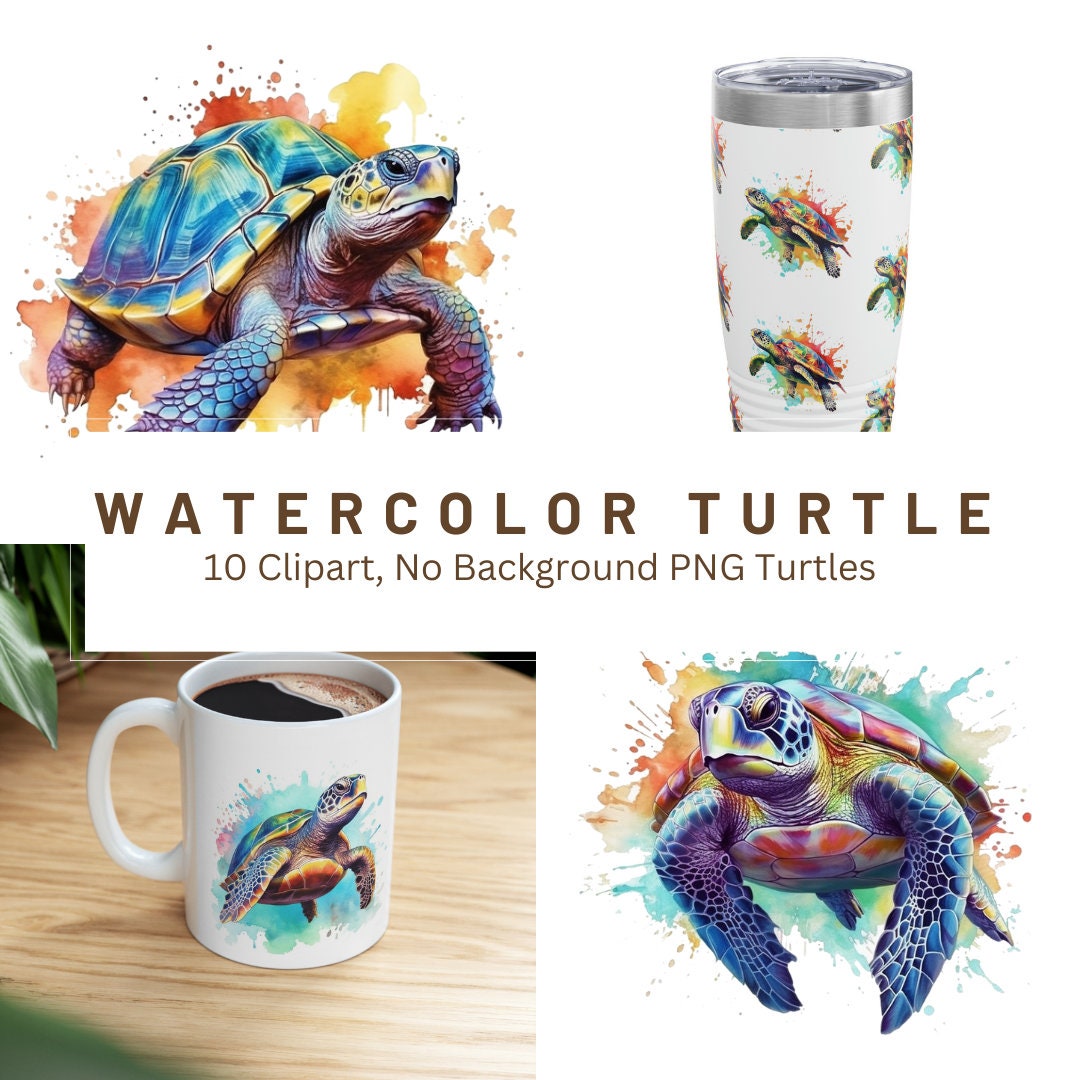 10 Watercolor Turtle Pngs | No Background | Print on Demand Ready ...