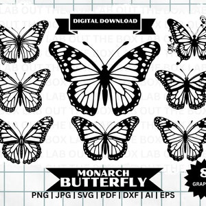 PAPILLON monarque | Forfait numérique 8 | Svg, Png, Png, Pd, Dxf, Eps, Ai | papillons, insectes, ailes, nature | Animaux | Clipart vectoriel | Décor