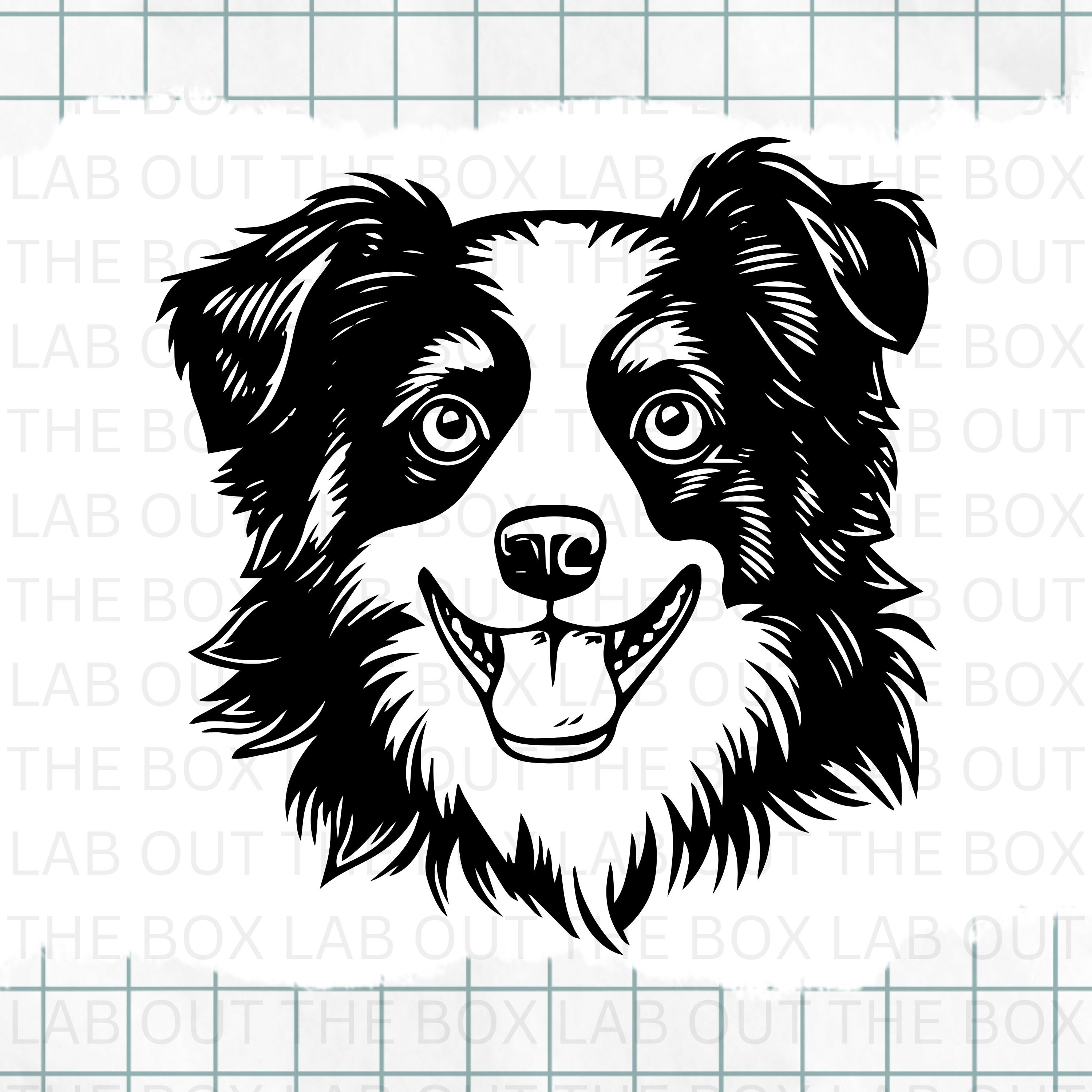 BORDER COLLIE Svg, Dog Svg, Pet Svg, Cut Files, Clip Art, T Shirt Print