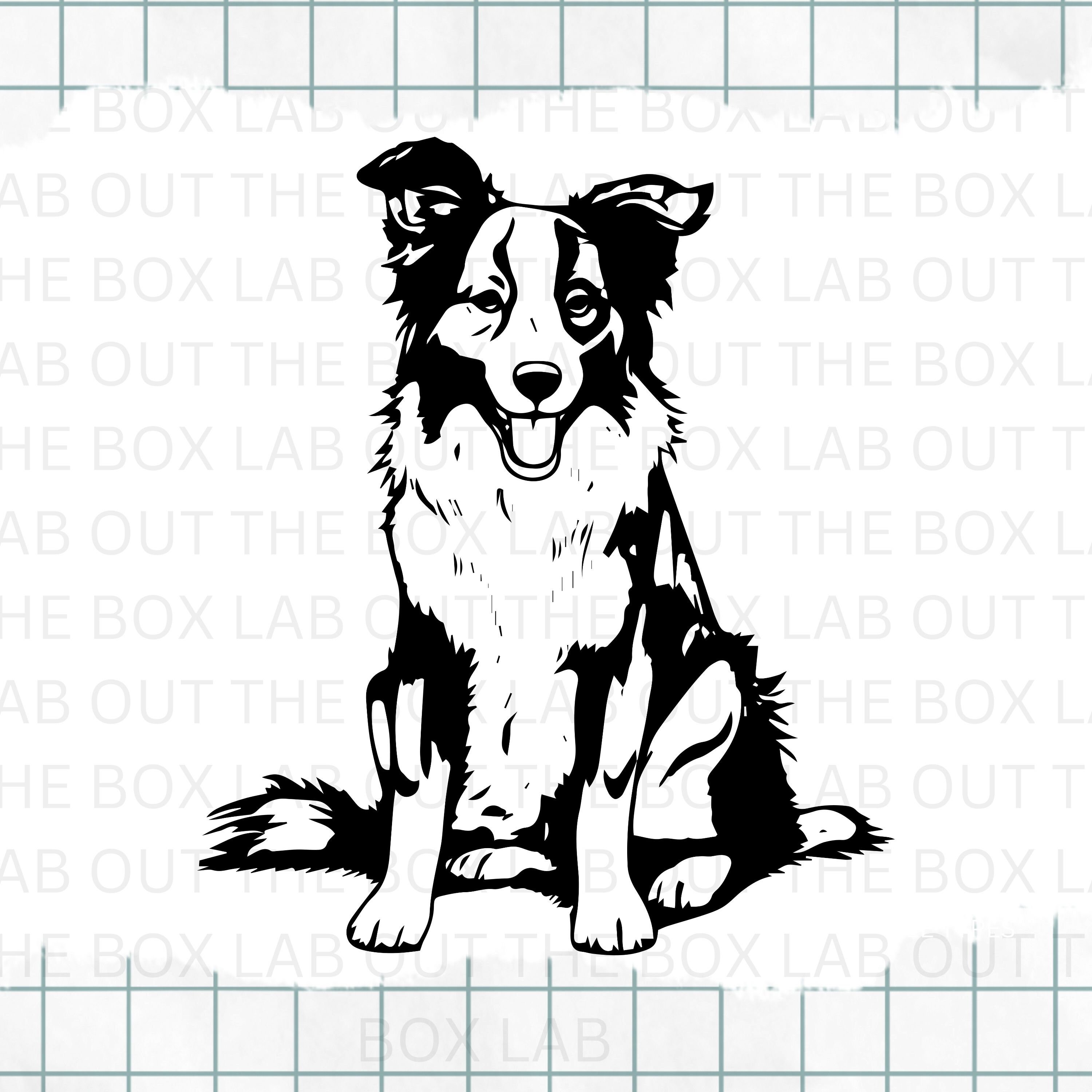 Buy BORDER COLLIE Svg, Dog Svg, Pet Svg, Cut Files, Clip Art, T Shirt