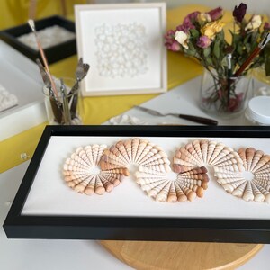 Tarantella-shellsshape Shell Art Piece of Art With Embossed Natural ...
