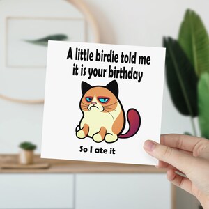 carte d'anniversaire | Carte d'anniversaire drôle | chat grincheux | carte d'anniversaire de chat | carte postale pour lui | Carte pour elle