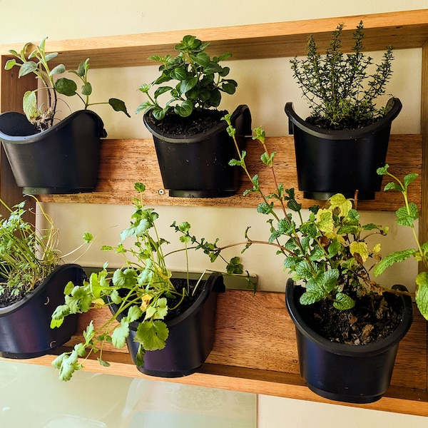 Herb rack - kitchen vertical garden