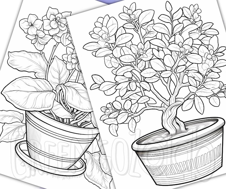 House Plant Coloring Book Pages for Adults & Kids, Gardening Grayscale ...