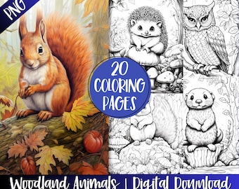 Livro de colorir com animais da floresta