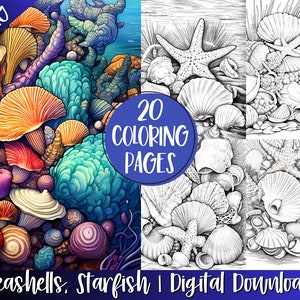 Intricate Seashells & Starfish Coloring Book Pages, Ocean Grayscale Coloring Pages, Instant Digital Download, Printable Art, Coloring Sheets