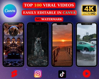 100 Viral Video Bundle | 4K Social Media Content (Digital Download)