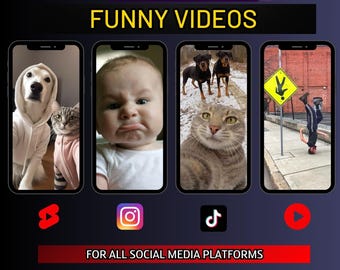 Elite 100 Funny Videos. |YouTube|Shorts|TikTok|Reels|Animals,Hilarious Fails,Epic Pranks,Comedic Moments,Silly,Laugh,Humorous,Cute,Cat,Dog