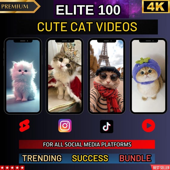Elite 100 Cute Cat