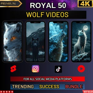 May include: A digital product listing for 50 wolf videos in 4K resolution. The image shows four different wolf videos, each with a different background and style. The videos are ideal for use on social media platforms like TikTok, Instagram, and YouTube.