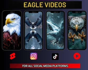 Eagle Videos | 4K Social Media Reels (Digital Download)