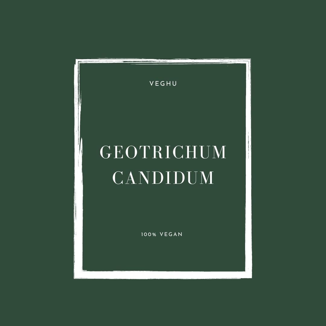 Vegan Penicillium Roqueforti, Cheese Mold, Blue Cheese Maker, Blue