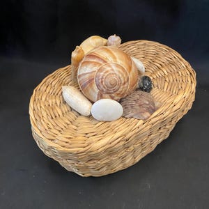 Lidded Seagrass Basket with Seashells