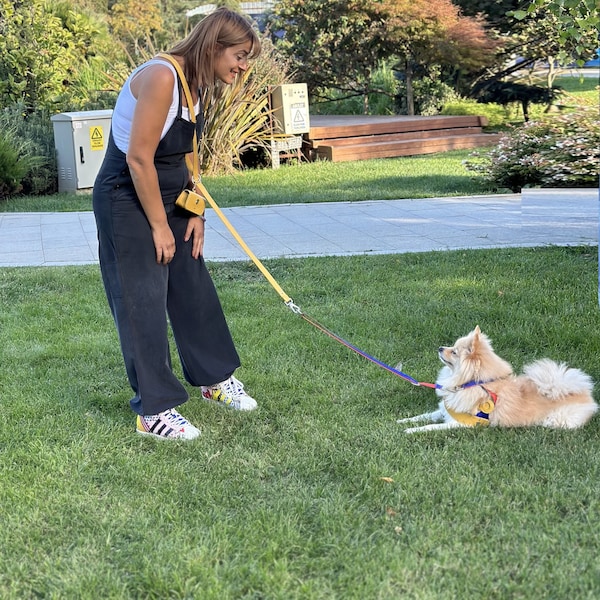 Festive Yellow Apple Leather Cross body Leash, Fashion, Multi Functional Hands Free Leash for Enjoyable Walks, Be Safe at Dog Runs, Dog Gift