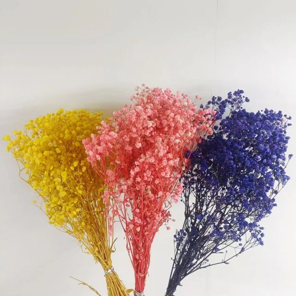 Wholesale Dried Flowers Etsy