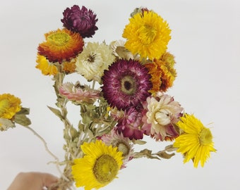 Ramo grande de flores secas, decoración boho para el hogar