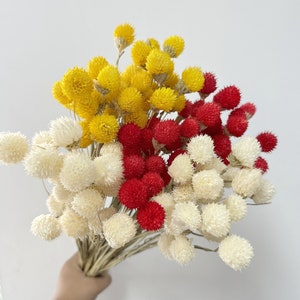 Natural Dried Flower,Strawberry Fruit,Large Dried Wildflower Bouquet,Dried Bouquet,Fall Handmade Home Decor,Boho Housewarming Gift,Gifts
