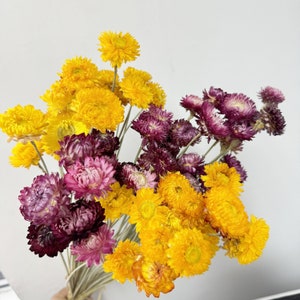 Dried Flower Bouquet,Rustic Home Decor,Dried Orange Daisy,Wedding Flower,Dried Rhodium Natural,Rural Wedding Decoration,Boho Flower Gifts