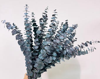 Boho Preserved Eucalyptus Stems, Hanging Eucalyptus Decor, Floral Arrangement, Party Favor-Wedding/Bridal/Shower